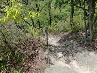 CIMG0983.jpg