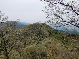 CIMG0997.jpg
