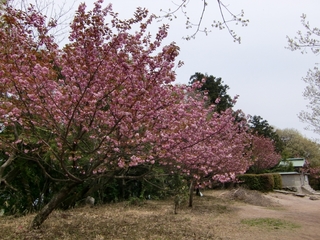 CIMG0998.jpg