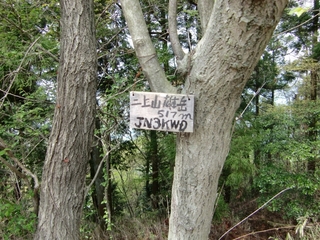 CIMG1008.jpg