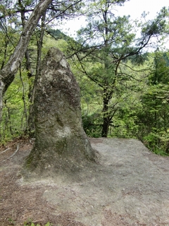 CIMG1069.jpg